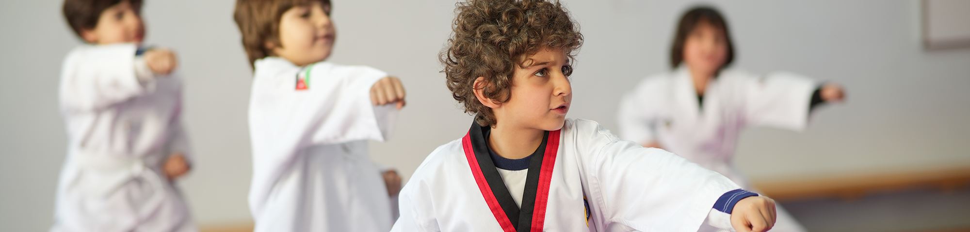 Regional & International Experiences